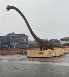 -恐龙探索乐园(磁器口店)