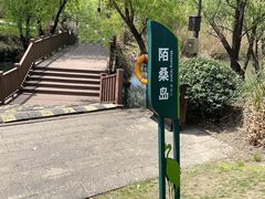 -长兴太湖图影湿地文化园