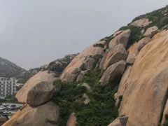 -洋山深水港