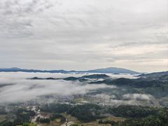 -紫鹊界梯田景区