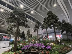 -青岛胶东国际机场