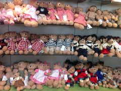 -济州岛泰迪熊博物馆