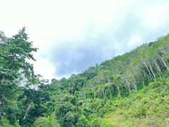 -西双版纳基诺山寨