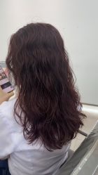 -天使之手