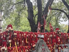-大槐树寻根祭祖园