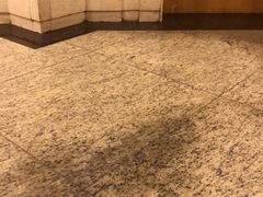 -上海交通大学医学院附属瑞金医院(总院)