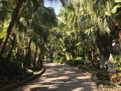 -厦门日月谷温泉渡假村