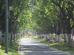 -五缘湾湿地公园