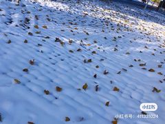 -万源龙顺度假庄园生态观光园