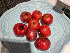 -正兴蜀园(科技园区店)