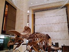 -美盛喜来登大酒店-盛宴标帜餐厅