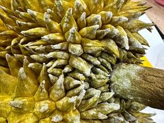 -百果园PAGODA(玄武成贤街店)