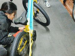 -道路口单车爱瓦士dahon大行