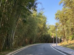-东莞植物园