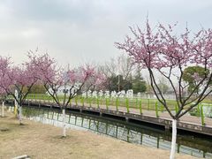 -金银湖国家城市湿地公园