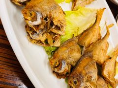 -谢记上海大排档(长寿路店)