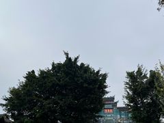 -恩阳古镇