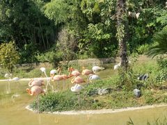 -杭州野生动物世界