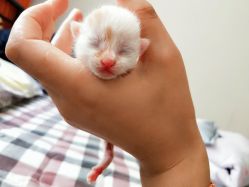 -Priscilla皮肤管理中心