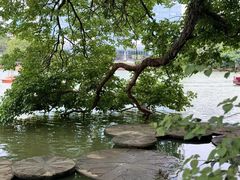 -西湖公园(鼓楼区)
