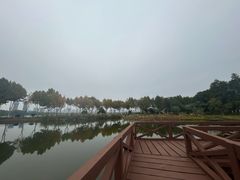-金银湖国家城市湿地公园