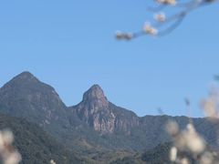 -广州市流溪河国家森林公园