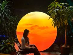 -扬之阿李菌汤火锅(1969店)