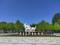 -秦皇岛野生动物园