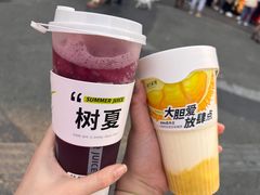 树夏葡萄-树夏(建设路店)