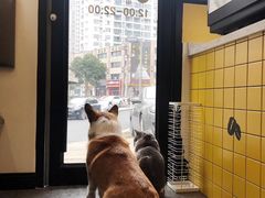 阿布-22cafe