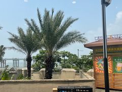 -南沙游艇会·大兵船餐厅