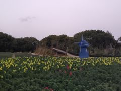 -广州市流溪河国家森林公园