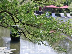 -杭州西子湖四季酒店-WL BISTRO西湖餐厅(灵隐路店)