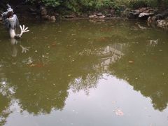 景点-汇龙潭