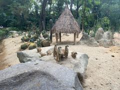 -广州长隆野生动物世界