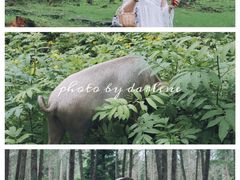 -硗碛藏寨·神木垒景区