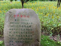 -乌石塘景区