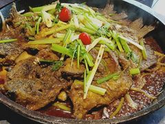 -老板恋上鱼(恒隆广场店)