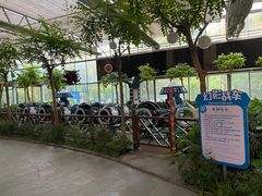 -南宫五洲植物乐园