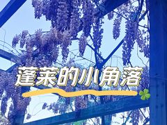 -蓬莱阁景区