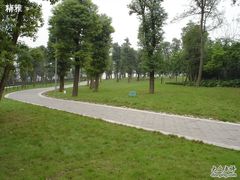 -重庆市江北嘴中央商务区中央公园