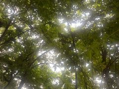 -普者黑风景区-青龙山