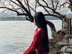 -西湖游船