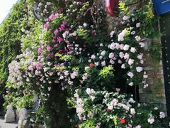 -元大都城垣遗址公园