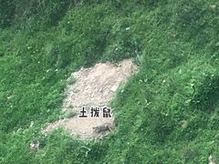 -黄河九曲第一湾