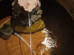 -鼎族怡华·指压·经络·疗愈SPA(紫荆店)