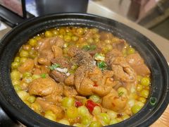 大肠砂锅-洪兴砂锅·融合砂锅菜(三站店)