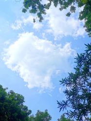 -HEYAN荷妍专业脱毛连锁机构