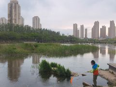 -前关湿地公园