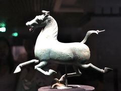 -甘肃省博物馆